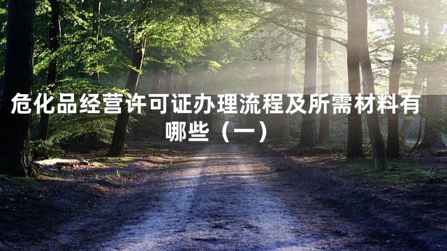 危化品经营许可证办理流程及所需材料有哪些（一）