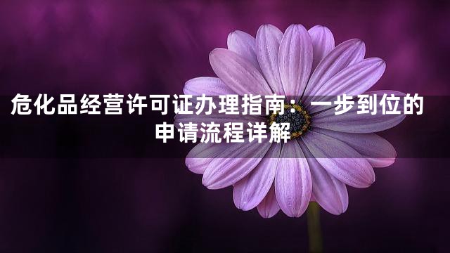 危化品经营许可证办理指南：一步到位的申请流程详解