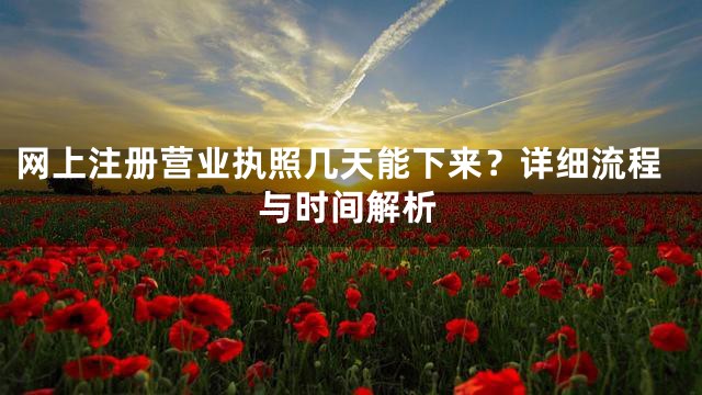 网上注册营业执照几天能下来？详细流程与时间解析