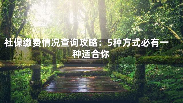 社保缴费情况查询攻略：5种方式必有一种适合你