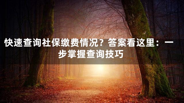 快速查询社保缴费情况？答案看这里：一步掌握查询技巧