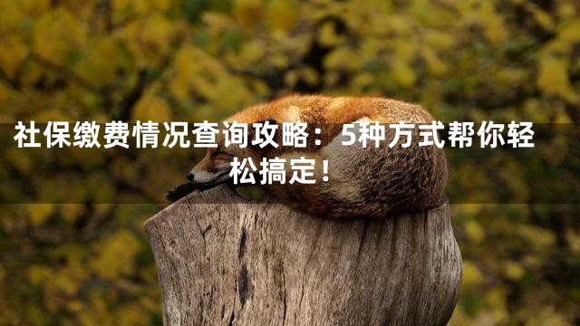 社保缴费情况查询攻略：5种方式帮你轻松搞定！