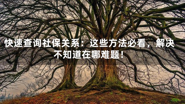 快速查询社保关系：这些方法必看，解决不知道在哪难题！