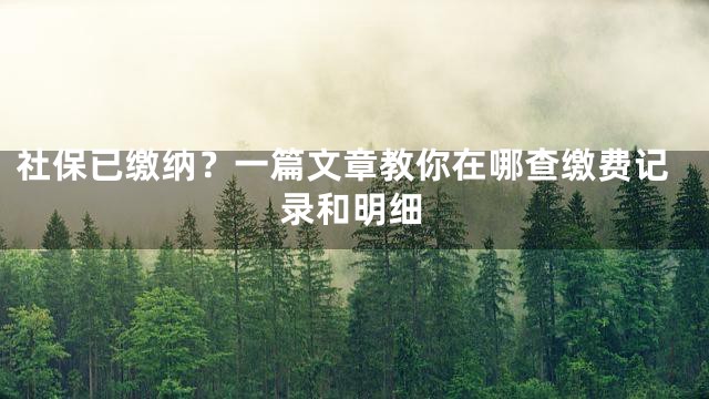 社保已缴纳？一篇文章教你在哪查缴费记录和明细