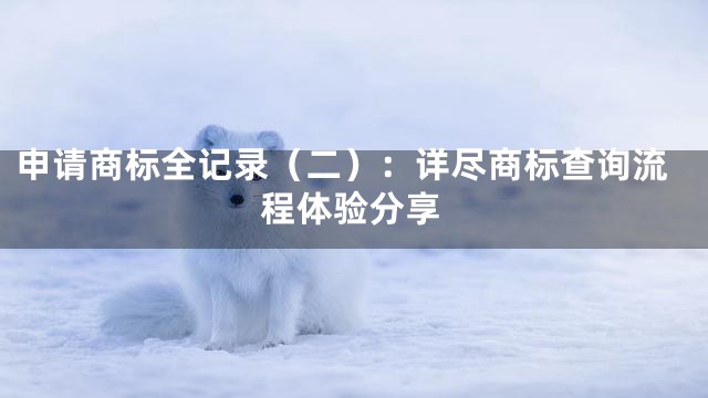 申请商标全记录（二）：详尽商标查询流程体验分享