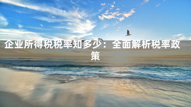 企业所得税税率知多少：全面解析税率政策