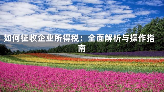 如何征收企业所得税：全面解析与操作指南