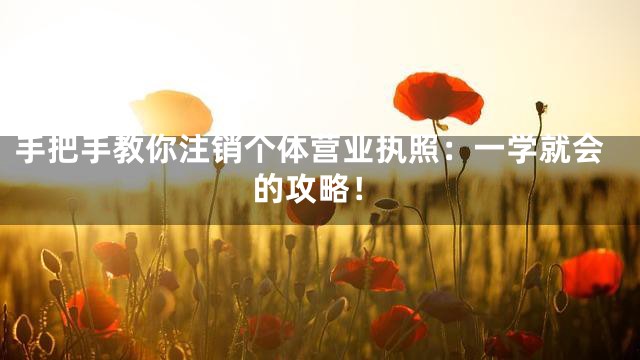 手把手教你注销个体营业执照：一学就会的攻略！