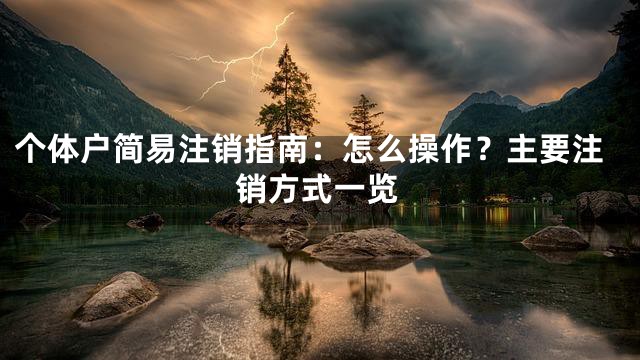 个体户简易注销指南：怎么操作？主要注销方式一览