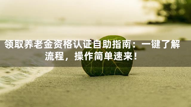 领取养老金资格认证自助指南：一键了解流程，操作简单速来！