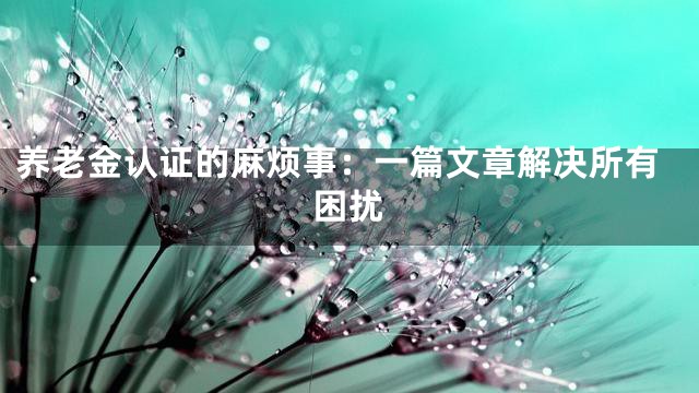 养老金认证的麻烦事：一篇文章解决所有困扰