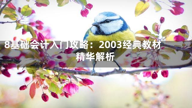 8基础会计入门攻略：2003经典教材精华解析