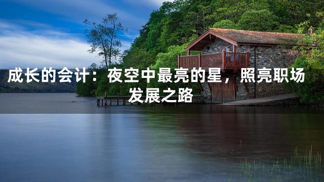 成长的会计：夜空中最亮的星，照亮职场发展之路
