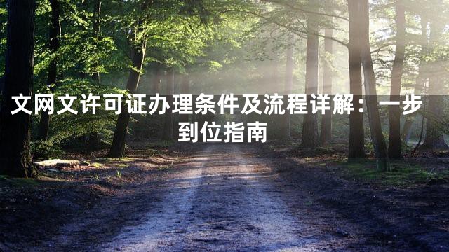 文网文许可证办理条件及流程详解：一步到位指南