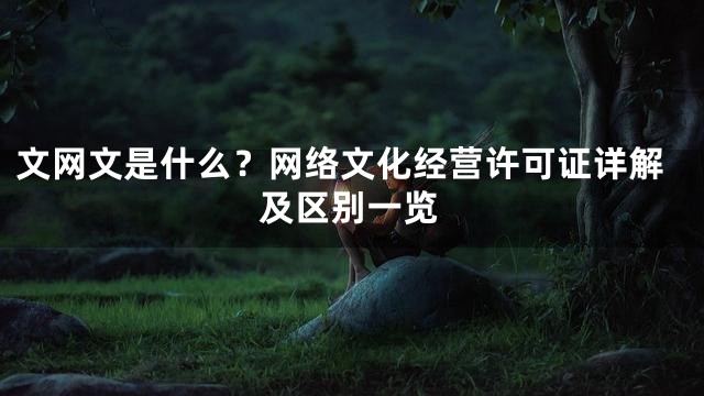 文网文是什么？网络文化经营许可证详解及区别一览