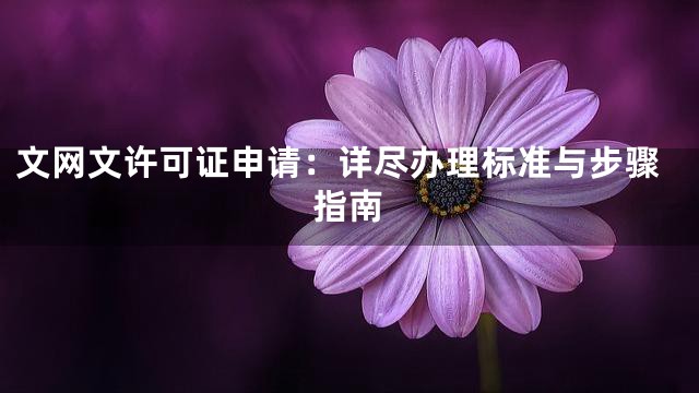 文网文许可证申请：详尽办理标准与步骤指南