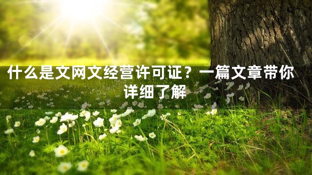 什么是文网文经营许可证？一篇文章带你详细了解