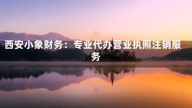 西安小象财务：专业代办营业执照注销服务
