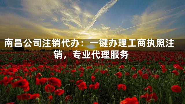 南昌公司注销代办：一键办理工商执照注销，专业代理服务