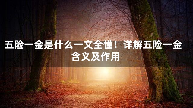 五险一金是什么一文全懂！详解五险一金含义及作用