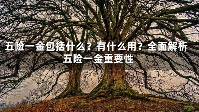 五险一金包括什么？有什么用？全面解析五险一金重要性