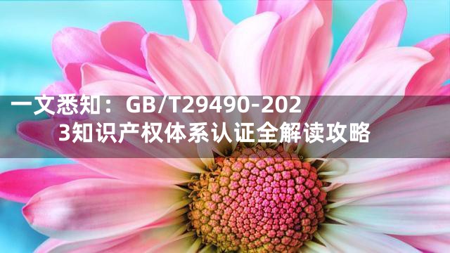 一文悉知：GB/T29490-2023知识产权体系认证全解读攻略