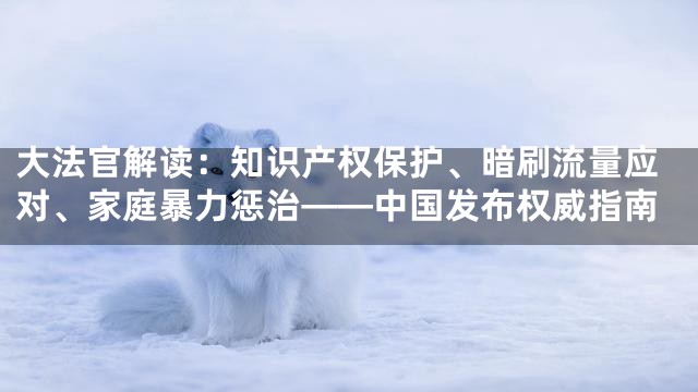 大法官解读：知识产权保护、暗刷流量应对、家庭暴力惩治——中国发布权威指南