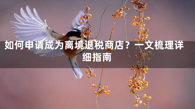 如何申请成为离境退税商店？一文梳理详细指南