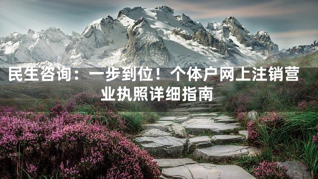 民生咨询：一步到位！个体户网上注销营业执照详细指南