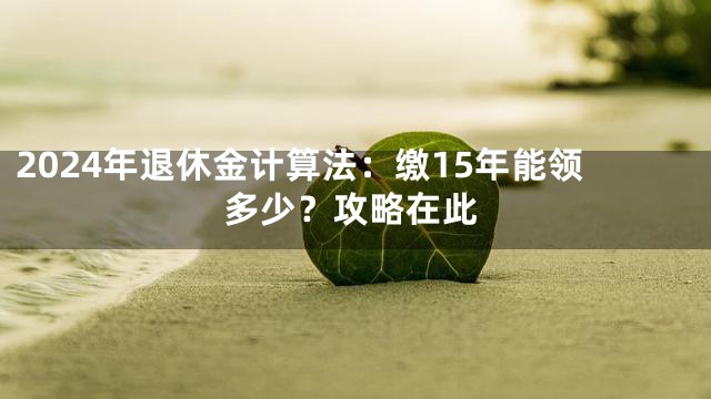2024年退休金计算法：缴15年能领多少？攻略在此