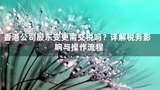 香港公司股东变更需交税吗？详解税务影响与操作流程