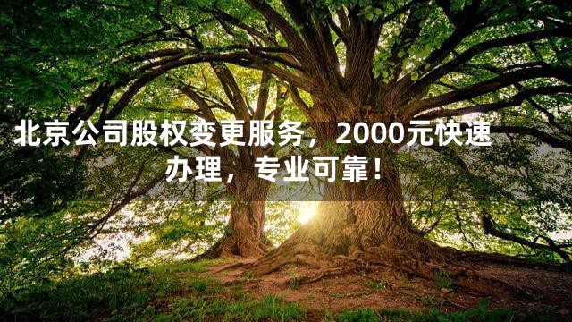 北京公司股权变更服务，2000元快速办理，专业可靠！