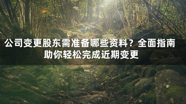 公司变更股东需准备哪些资料？全面指南助你轻松完成近期变更