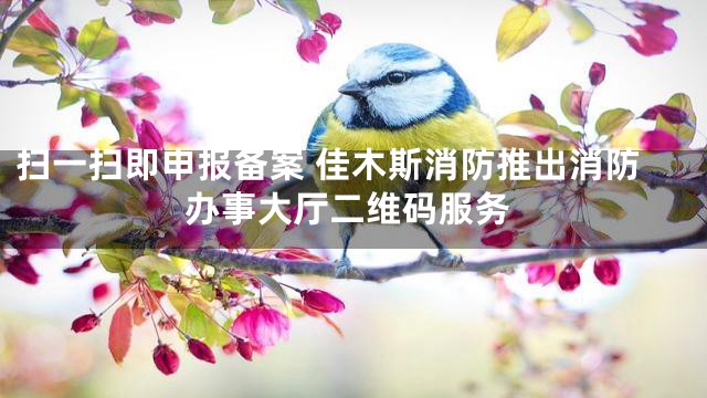 扫一扫即申报备案 佳木斯消防推出消防办事大厅二维码服务