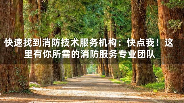 快速找到消防技术服务机构：快点我！这里有你所需的消防服务专业团队