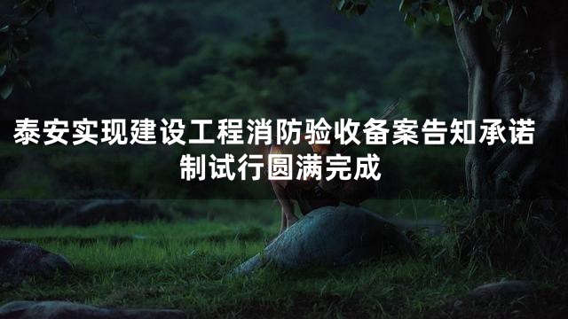 泰安实现建设工程消防验收备案告知承诺制试行圆满完成