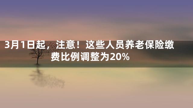3月1日起，注意！这些人员养老保险缴费比例调整为20%