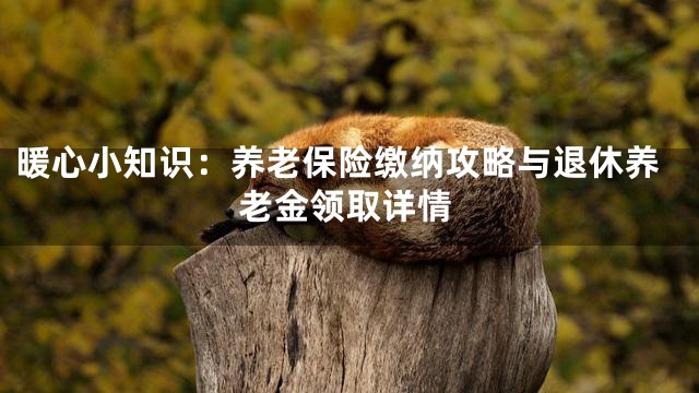 暖心小知识：养老保险缴纳攻略与退休养老金领取详情