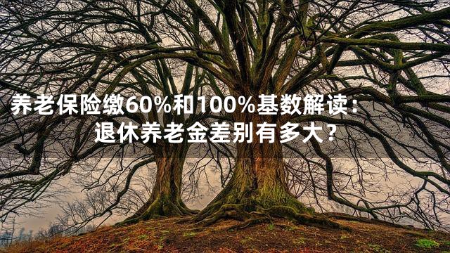 养老保险缴60%和100%基数解读：退休养老金差别有多大？