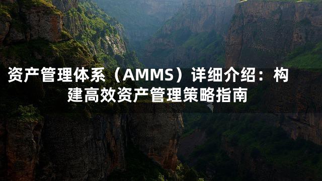 资产管理体系（AMMS）详细介绍：构建高效资产管理策略指南