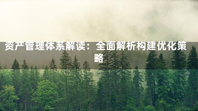 资产管理体系解读：全面解析构建优化策略
