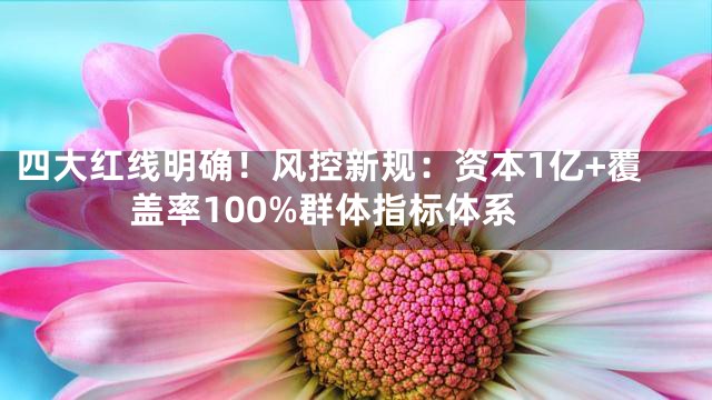 四大红线明确！风控新规：资本1亿+覆盖率100%群体指标体系