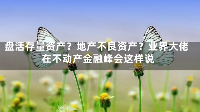 盘活存量资产？地产不良资产？业界大佬在不动产金融峰会这样说