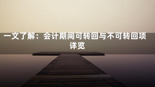 一文了解：会计期间可转回与不可转回项详览