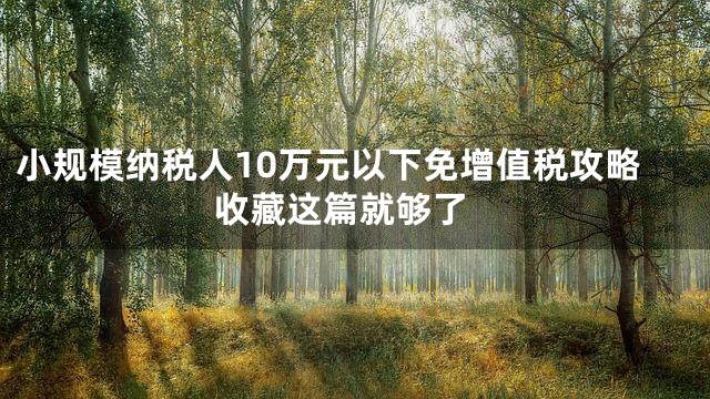 小规模纳税人10万元以下免增值税攻略 收藏这篇就够了