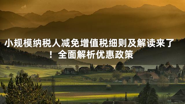 小规模纳税人减免增值税细则及解读来了！全面解析优惠政策
