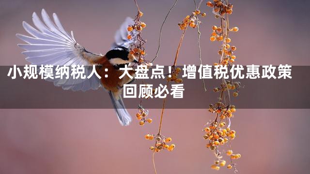 小规模纳税人：大盘点！增值税优惠政策回顾必看