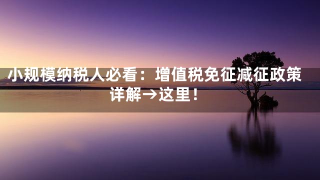 小规模纳税人必看：增值税免征减征政策详解→这里！