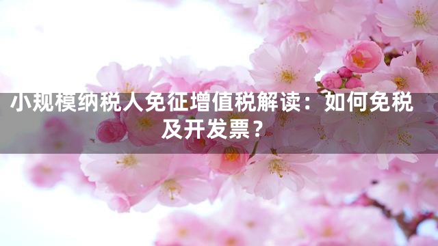 小规模纳税人免征增值税解读：如何免税及开发票？