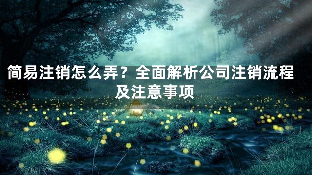 简易注销怎么弄？全面解析公司注销流程及注意事项